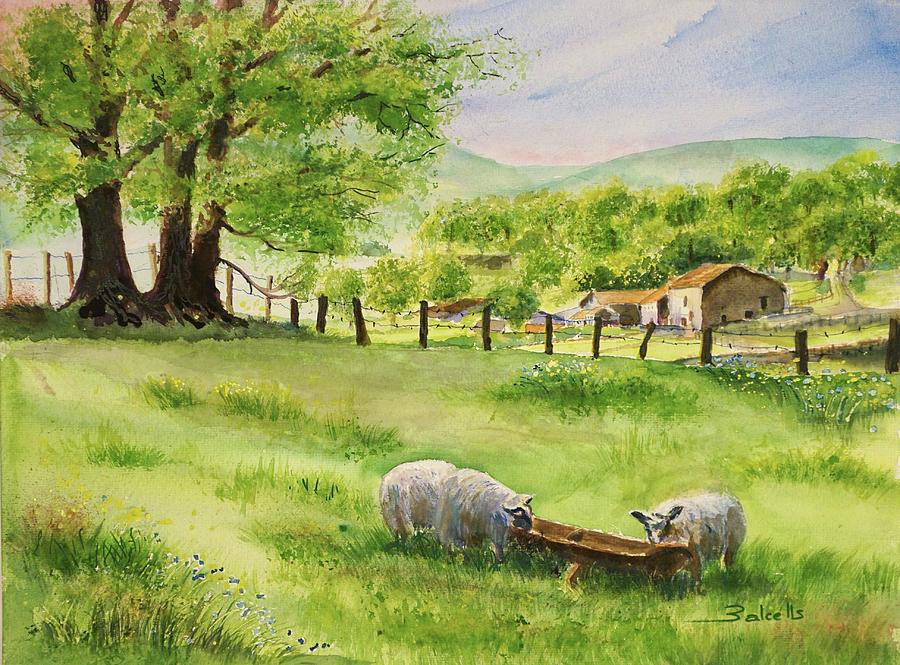 Sheep Farm Painting by Maria Balcells