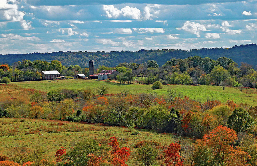 Sheep Farm on a Beautiful Fall Day Photograph by Gina Fitzhugh