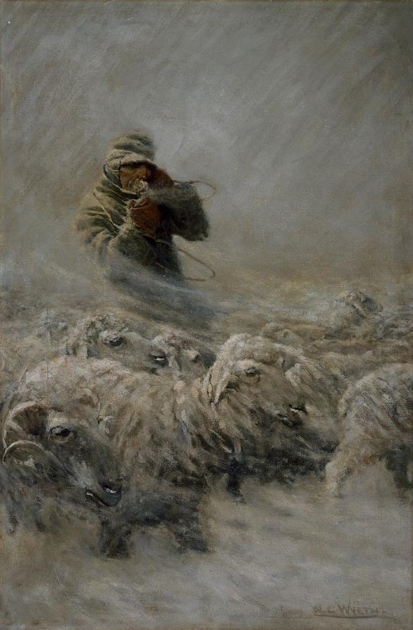 Sheep Painting - Sheep Herder  by N  C  Wyeth