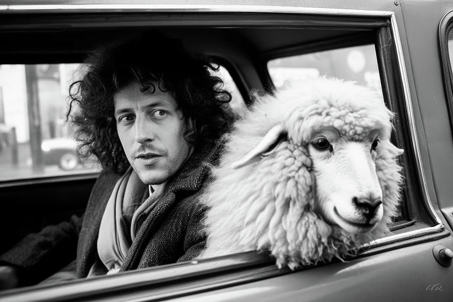 Sheep in a Car Photograph by Alan Rogers - Fine Art America