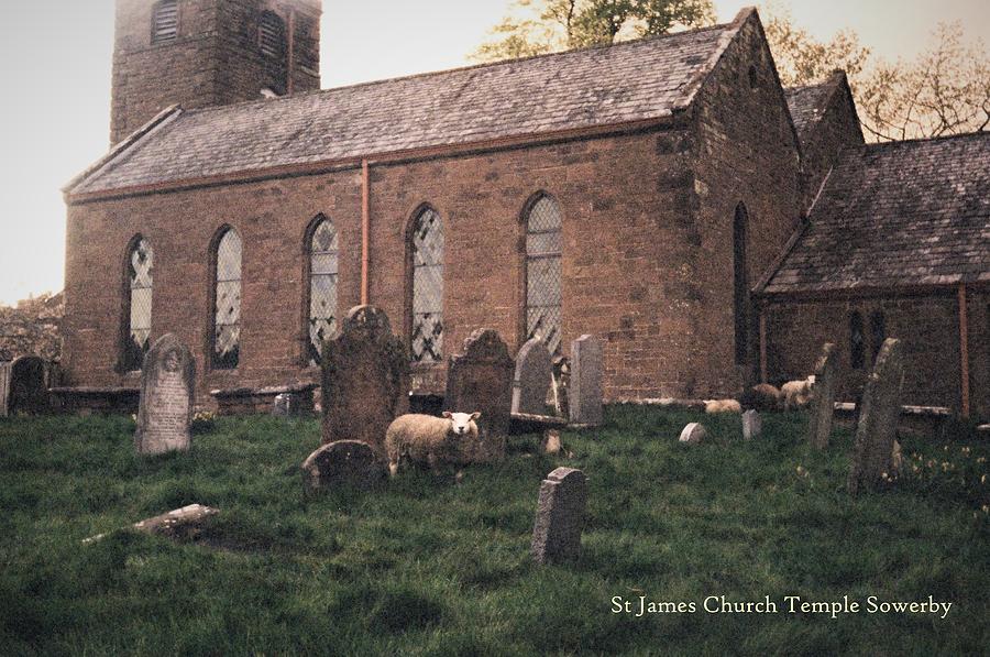 Sheep in the churchyard Photograph by Justin Farrimond