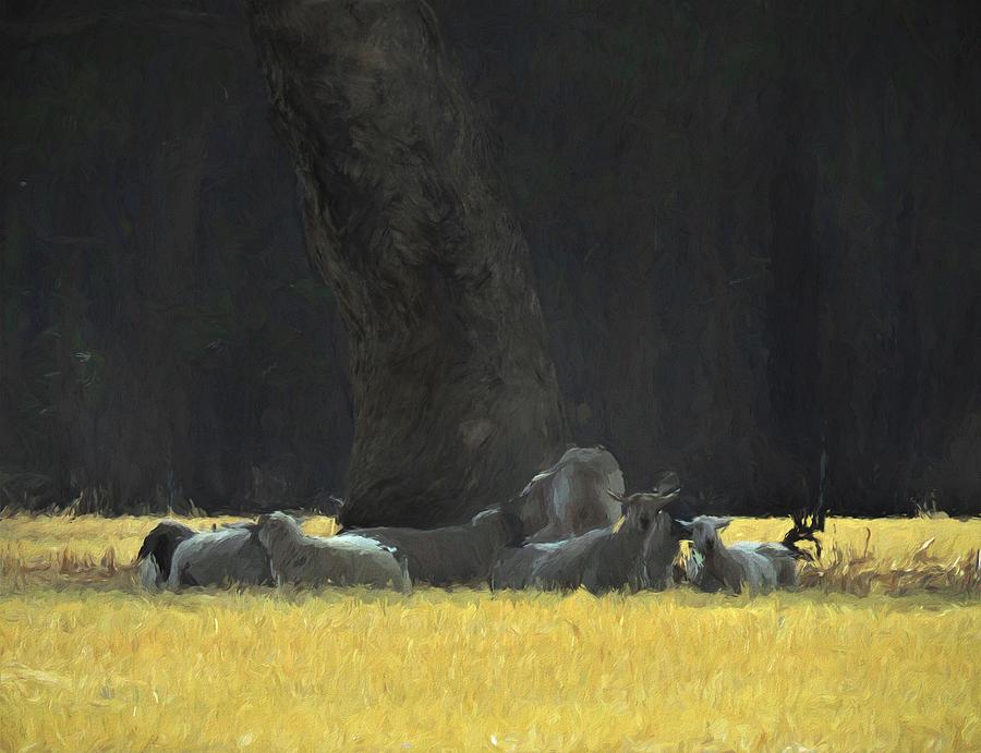 Sheep In The Shade Of The Old Red Gum On A Hot Summer Day by Joan Stratton Mixed Media by Joan Stratton