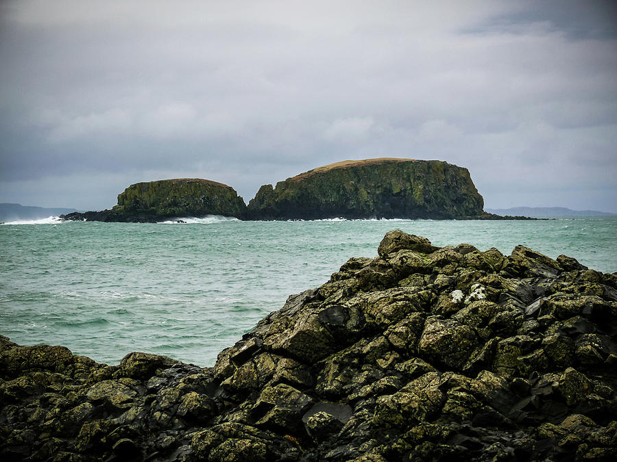 Sheep Island Photograph by Colin Clarke - Pixels