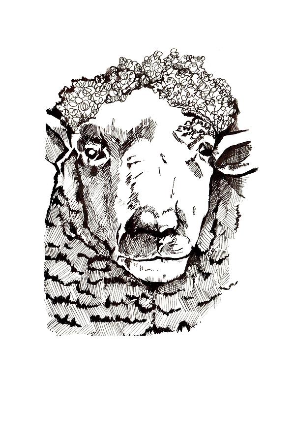 Dorset Sheep Head Png Dorset Sheep Png Hand Drawn Dorset - Etsy
