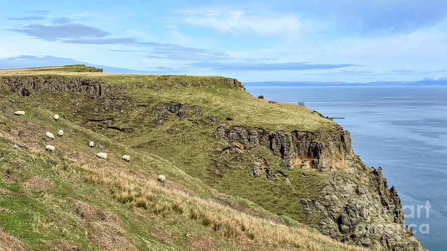 Sheep near Lealt Falls - Isle of Skye, Scotland Photograph by Jeff Saunders Sheep near Lealt Falls - Isle of Skye, Scotland Photograph by Jeff Saunders