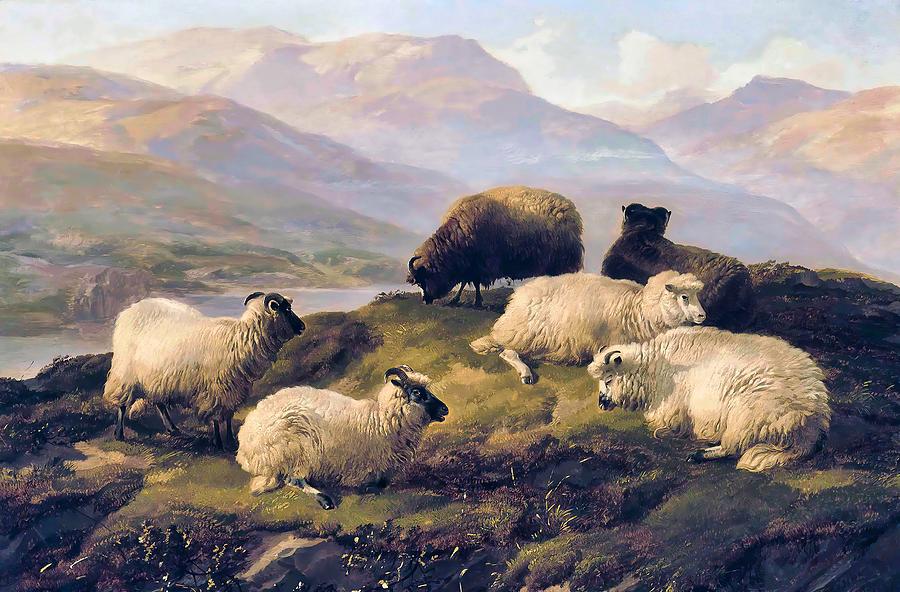 Sheep Resting in a Highland Landscape Painting by Thomas Sidney Cooper