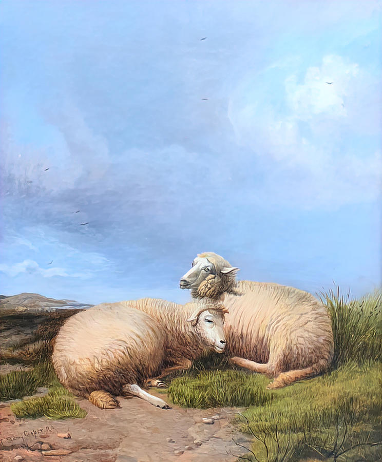Sheep Resting Painting by Thomas Sidney Cooper