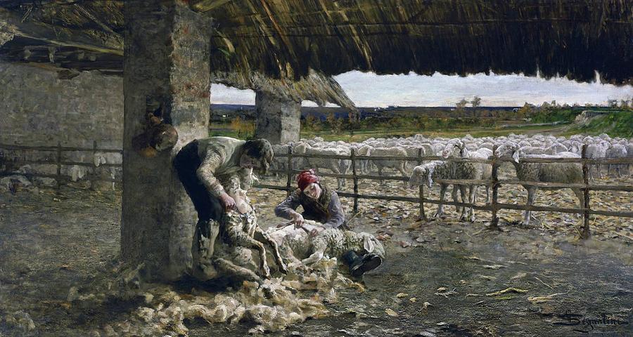 Sheep Shearing Painting by Giovanni Segantini
