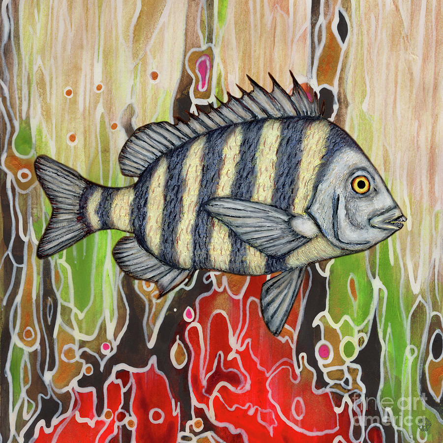 Sheepshead Fish Abstract Painting by Amy E Fraser