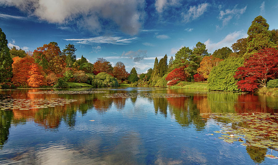 Sheffield Park in Autumn Clothing #2 Photograph by John Gilham