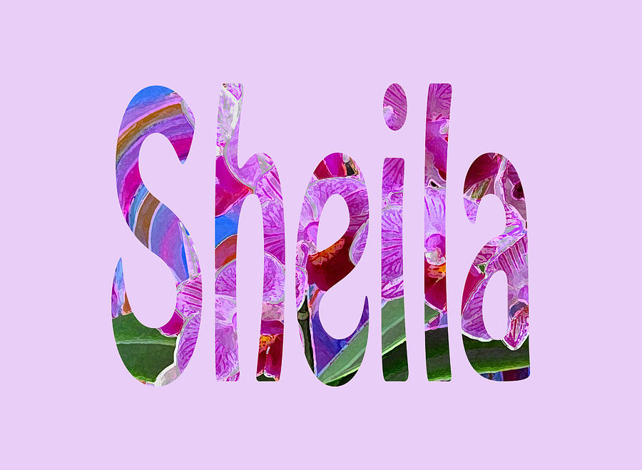 Sheila Mixed Media by Corinne Carroll