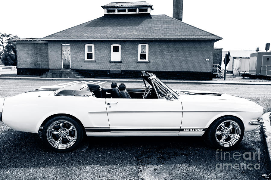 Shelby Cobra GT350 in Sandy Hook Photograph by John Rizzuto