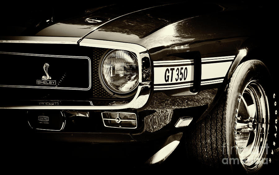  Shelby GT350 Sepia Photograph by Tim Gainey