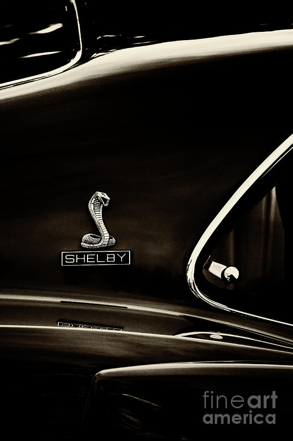Shelby Mustang GT350 Sepia Photograph by Tim Gainey