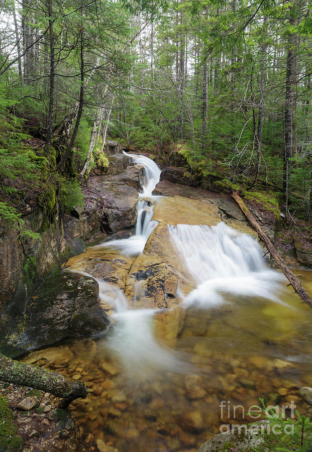 Shell Cascade - Waterville Valley, New Hampshire Photograph by Erin Paul Donovan
