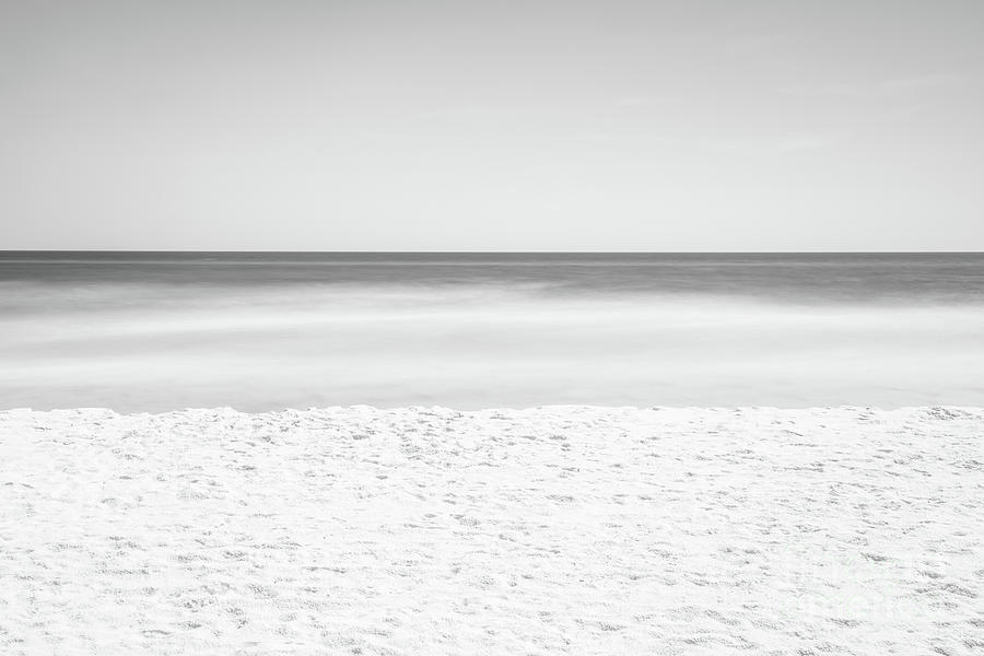 Shell Island Beach Florida Black and White Photo Photograph by Paul Velgos