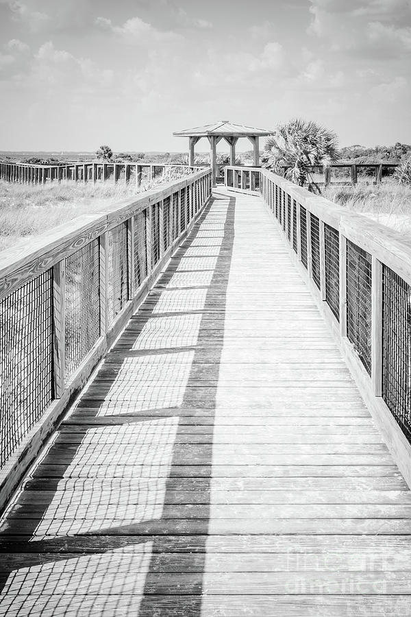 Shell Island Florida Boardwalk Black and White Photo Photograph by Paul Velgos