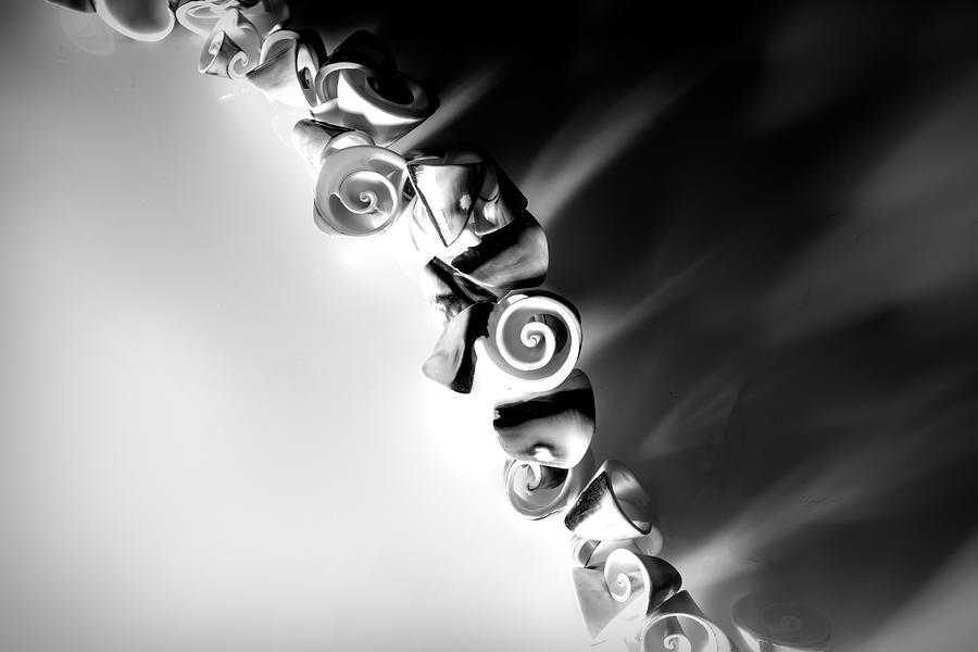 Shell Line Split Black and White Photograph by Sharon Popek