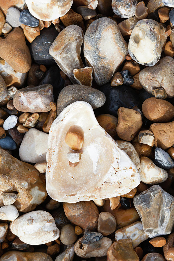 Shell pebbles Photograph by Richard Donovan