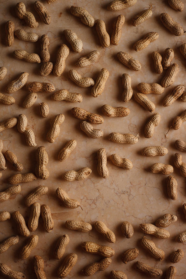 Shelled Peanuts Photograph by AshaSathees Photography