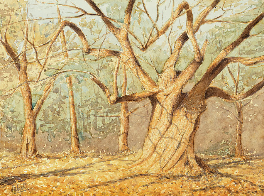 Shelley Lake Oak Tree Painting by Tesh Parekh