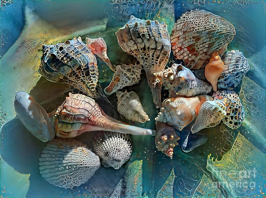 Shells 2 Digital Art by Greg Moores