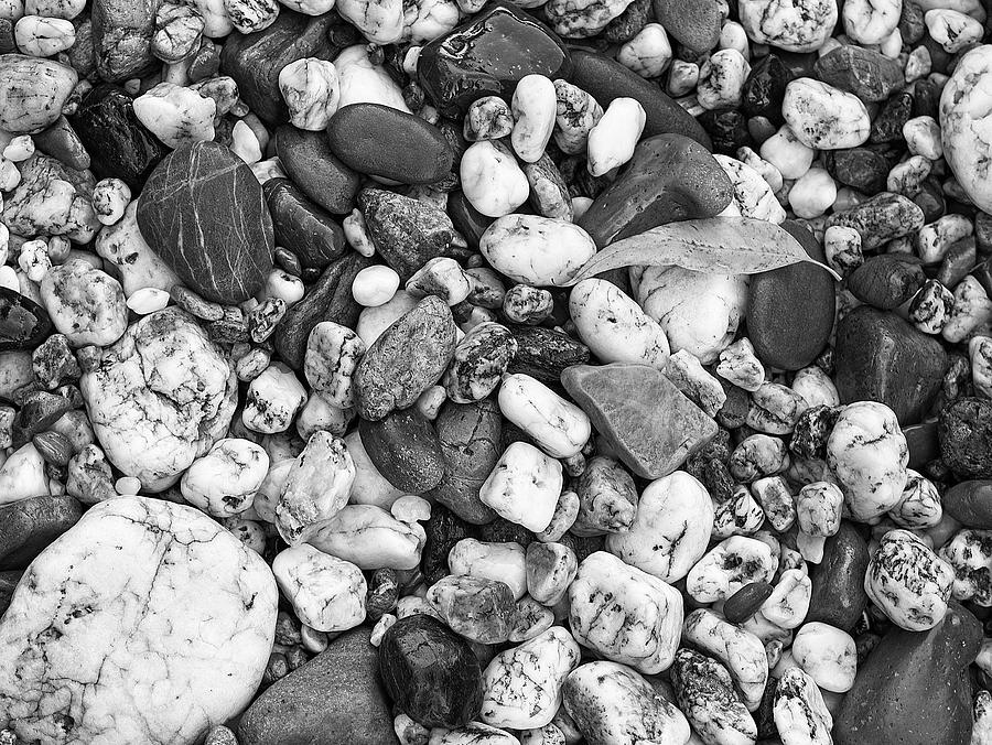 Shells and Rocks 3a, Batehaven, NSW, Australia Photograph by Steven Ralser