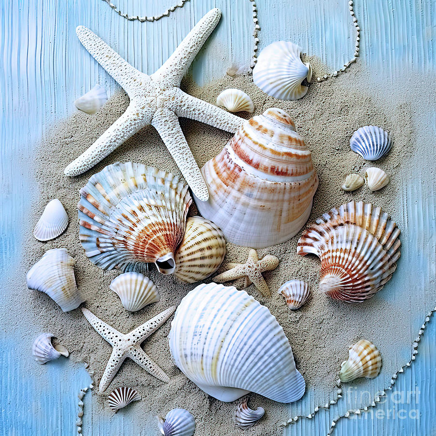 Shells and Star fish Digital Art by Elaine Manley - Fine Art America