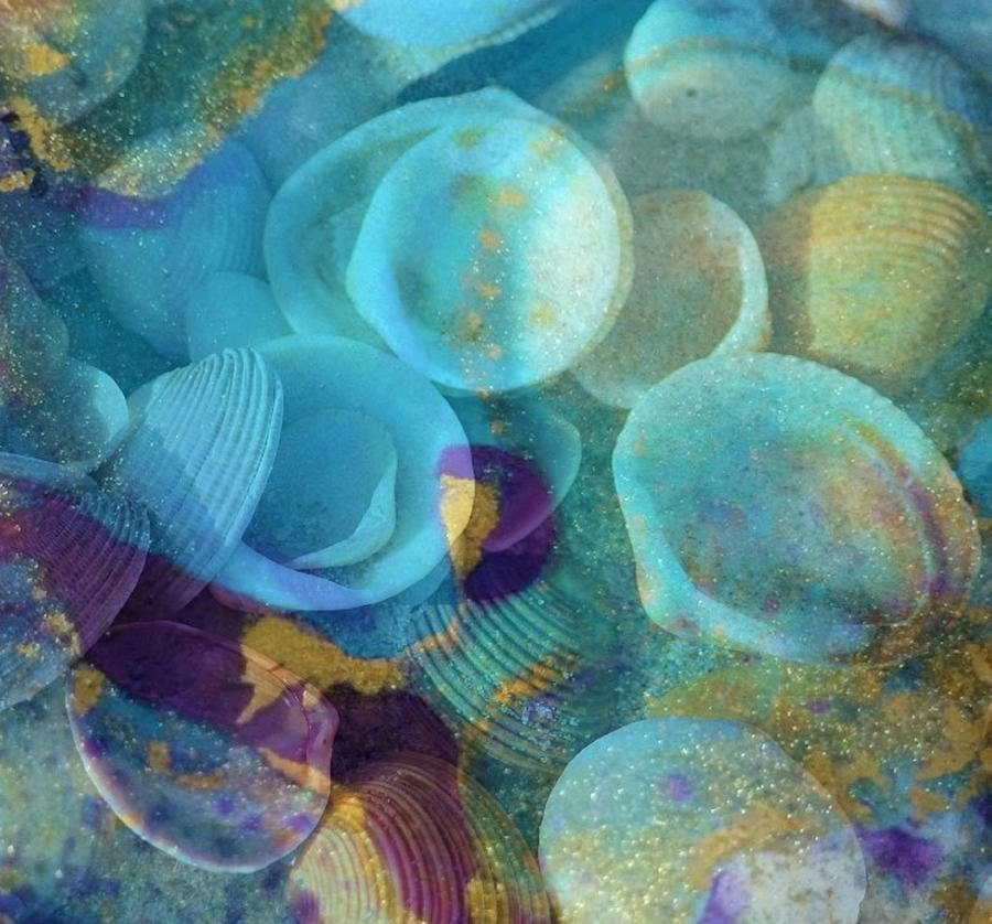 Shells, Sea And Sand 1 Digital Art