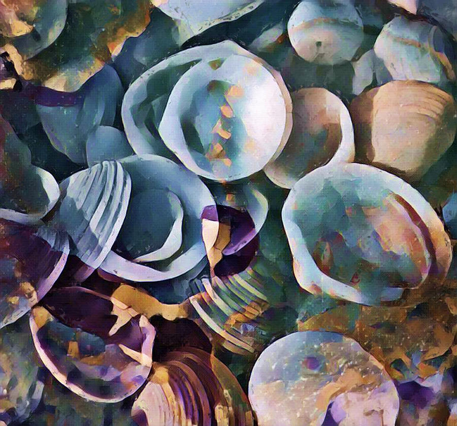 Shells, Sea And Sand 2 Digital Art
