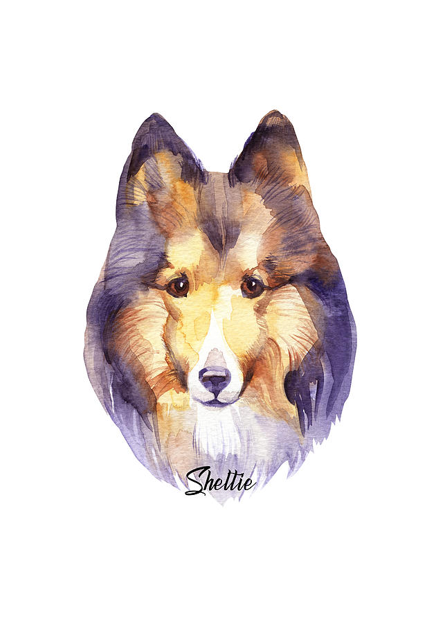 Sheltie Dog Breeds Digital Art by Sambel Pedes