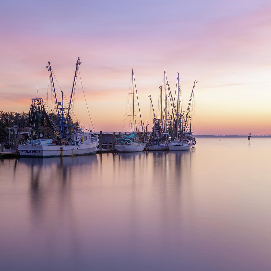 Shem Creek Shrimpboats Spring Color Photograph by Donnie Whitaker