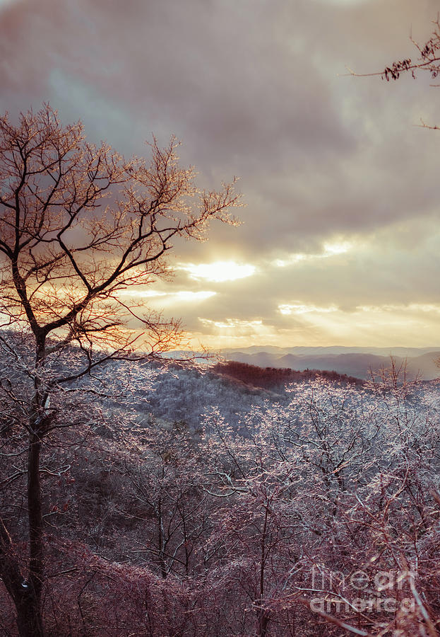 Shenandoah Mountain in Ice Photograph by Laura Honaker