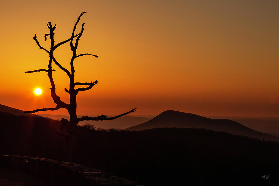 Tree Photograph - Shenandoah Mountain Sunrise by Everet Regal
