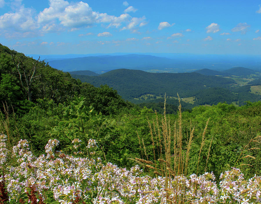 Shenandoah National Park 3 Photograph by David Beard | Fine Art America