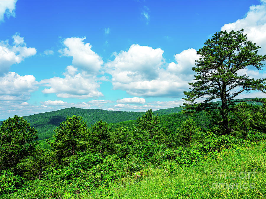 Shenandoah National Park Landscape in Virginia Photograph by John Rizzuto