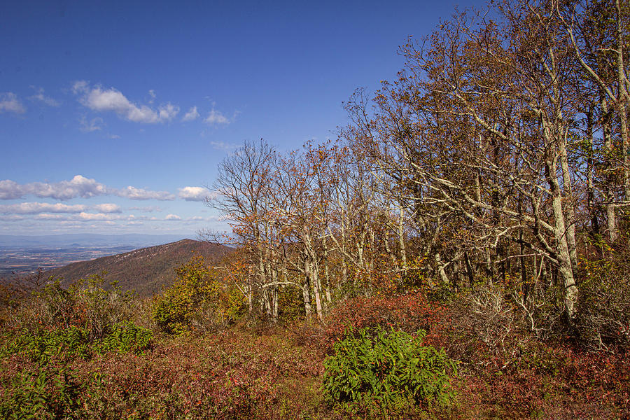 Shenandoah National Park by Pete Federico Shenandoah National Park by Pete Federico