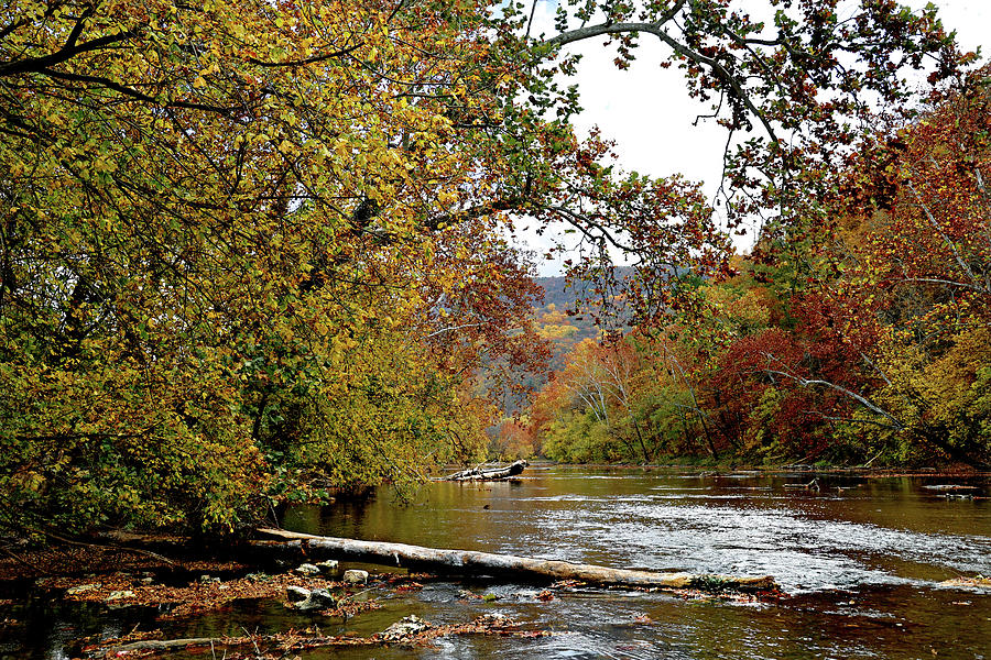 Shenandoah North Branch 3 - Strasburg Photograph by Daniel Beard - Fine ...