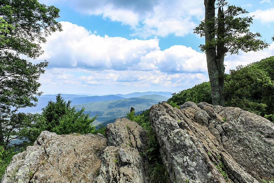 Shenandoah On the Rocks Photograph by David Beard - Fine Art America