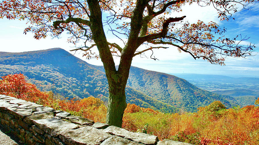 Shenandoah Valley Skyline Drive VA 01 Photograph by The James Roney Collection