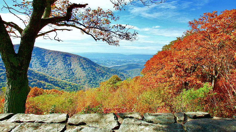 Shenandoah Valley, Skyline Drive VA 02 Photograph by The James Roney Collection