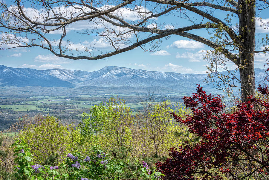 Shenandoah Valley Spring Mountains Photograph by Lara Ellis