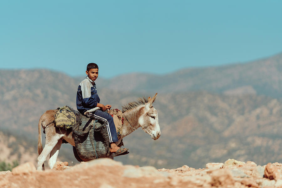 Shepard Boy Photograph by Jonathan Trieu Nguyen - Fine Art America