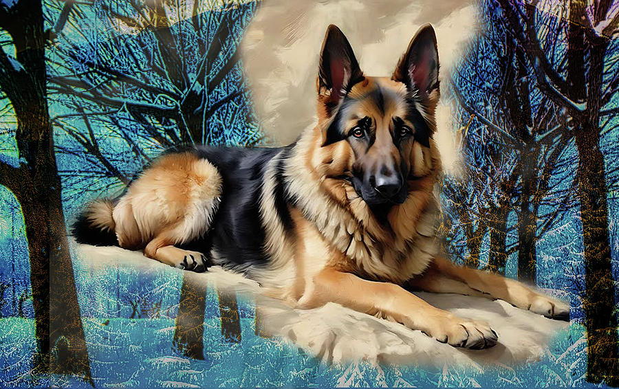 Shepherd winter pose  Photograph by Dennis Baswell