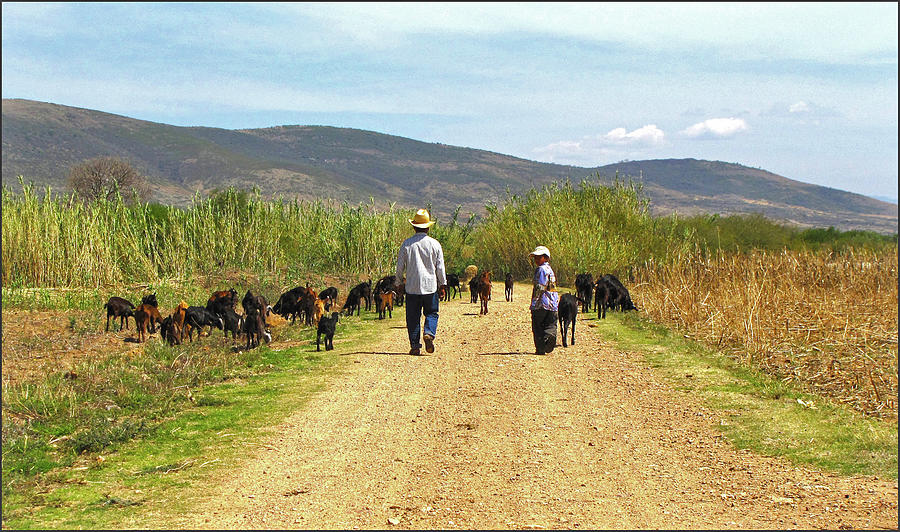 Shepherds in Zegache Photograph by Lorena Cassady
