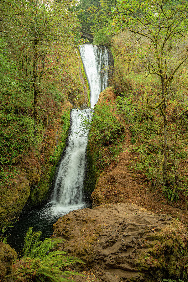 Sheppards Dell Falls, Oregon 2 Photograph by Cindy Robinson