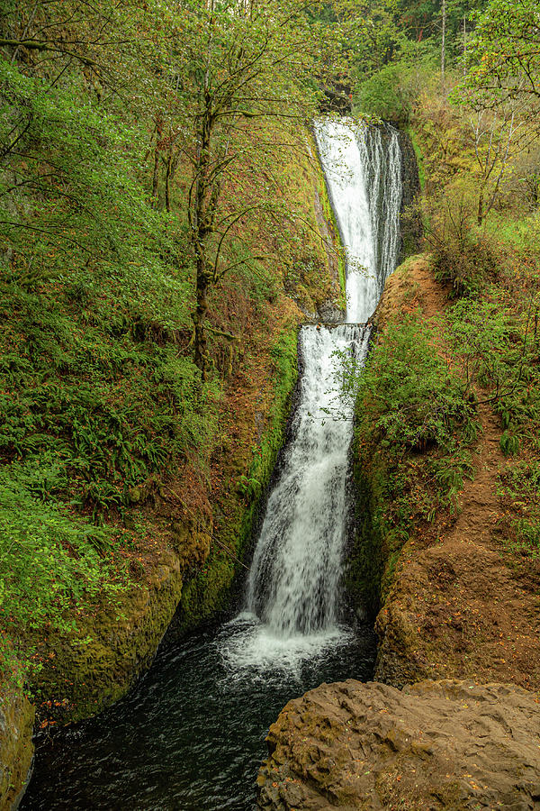 Sheppards Dell Falls, Oregon 4 Photograph by Cindy Robinson