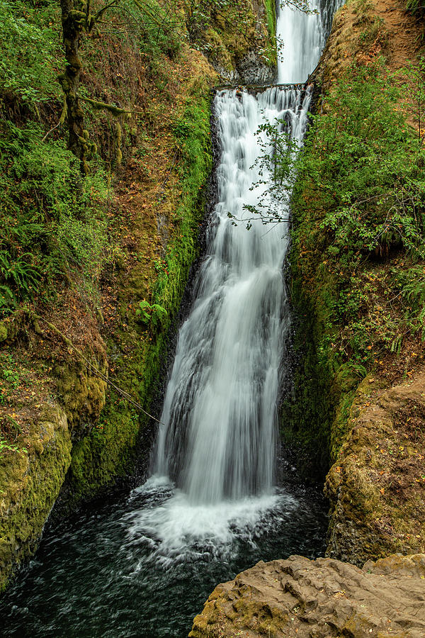 Sheppards Dell Falls, Oregon 5 Photograph by Cindy Robinson
