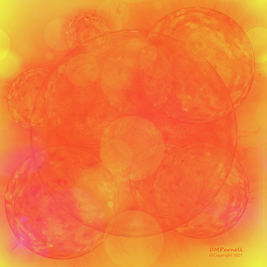 Sherbet Suns Digital Art by Diane Parnell