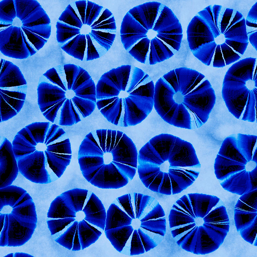 Shibori Indigo Shrooms Digital Art by Vagabond Folk Art - Virginia Vivier